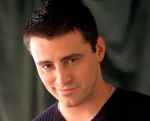 Matt Le Blanc picture