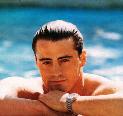 Matt Le Blanc picture